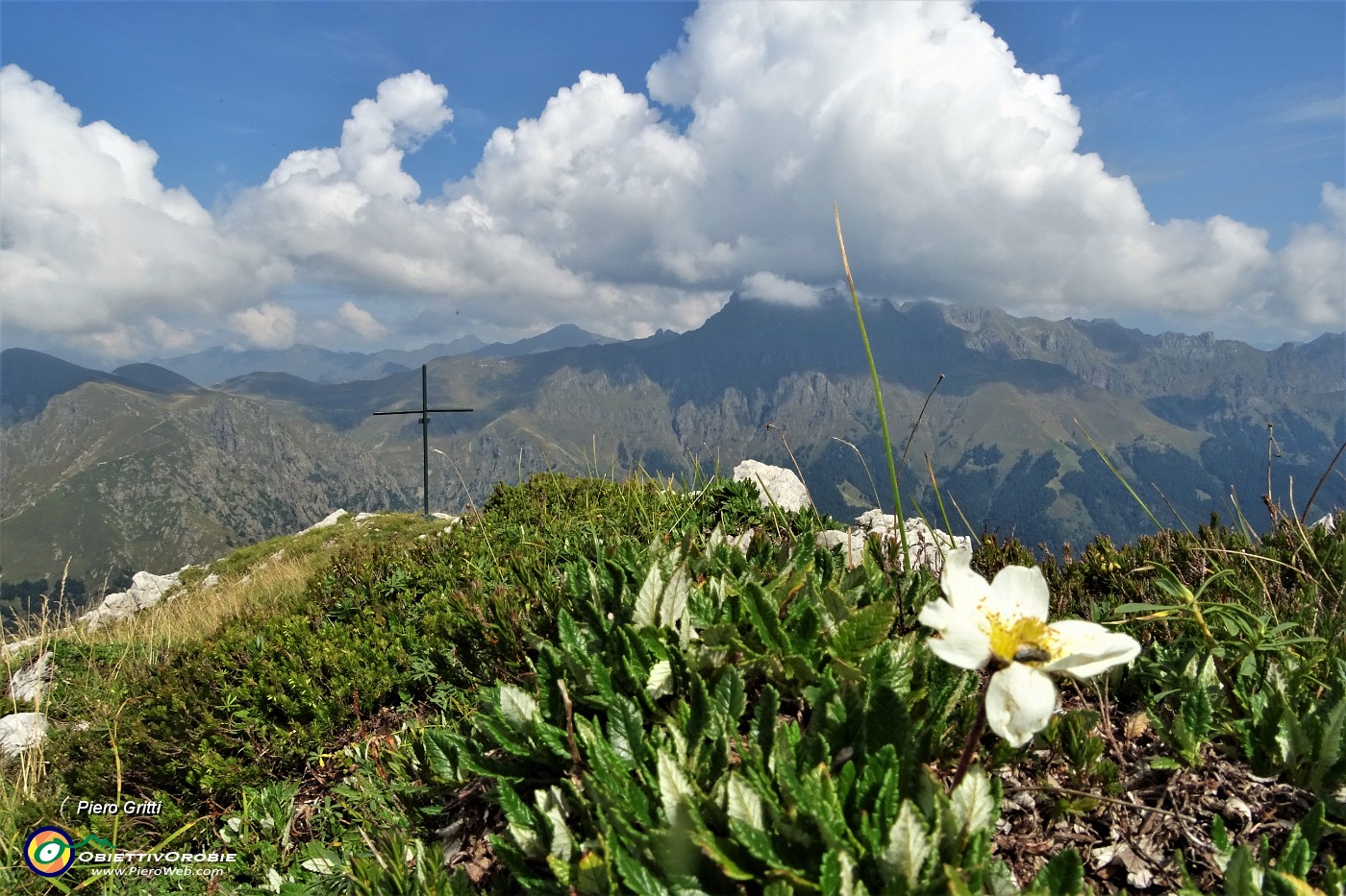 51 Un camedrio alpino, unico rimasto, annuncia la croce di vetta della Corna Grande (2089 m).JPG